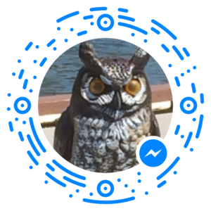 messenger_code_1753216425003551